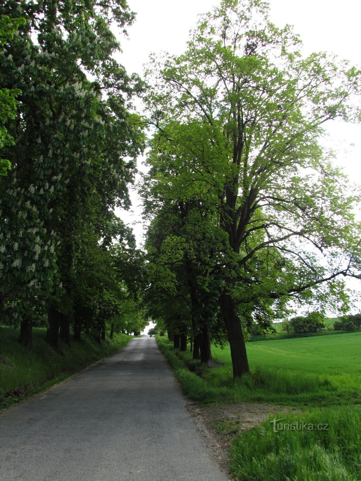 Kvasice - Vanha Ristintie