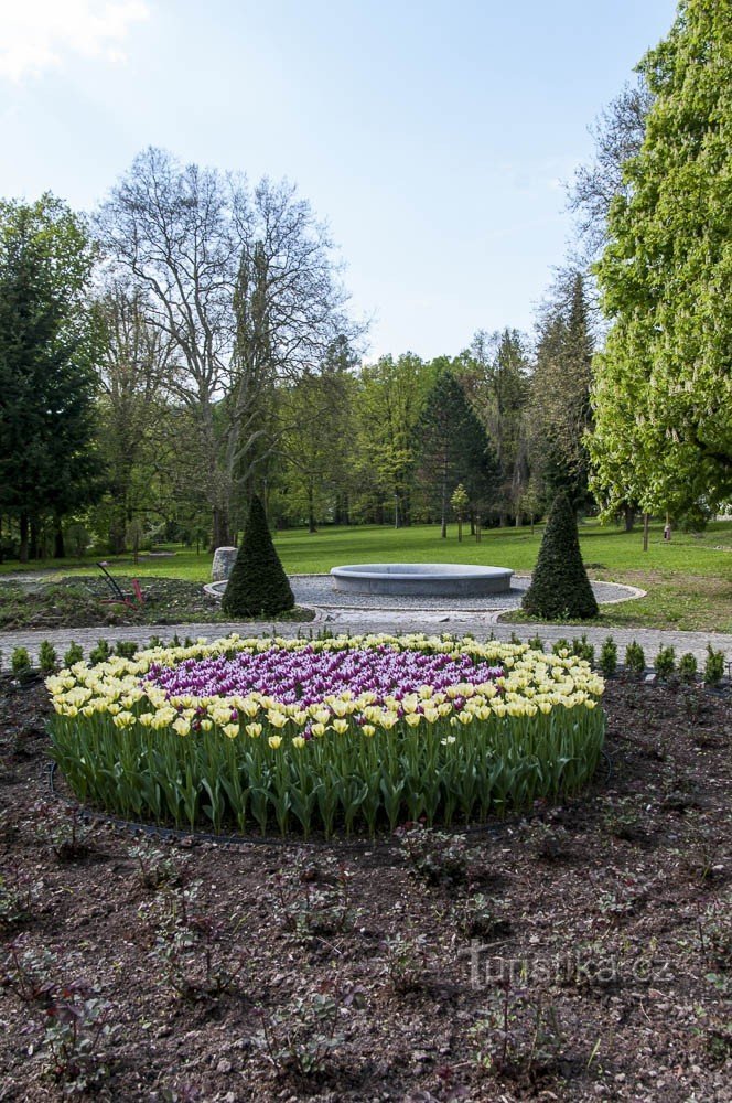 Fleurs devant l'entrée