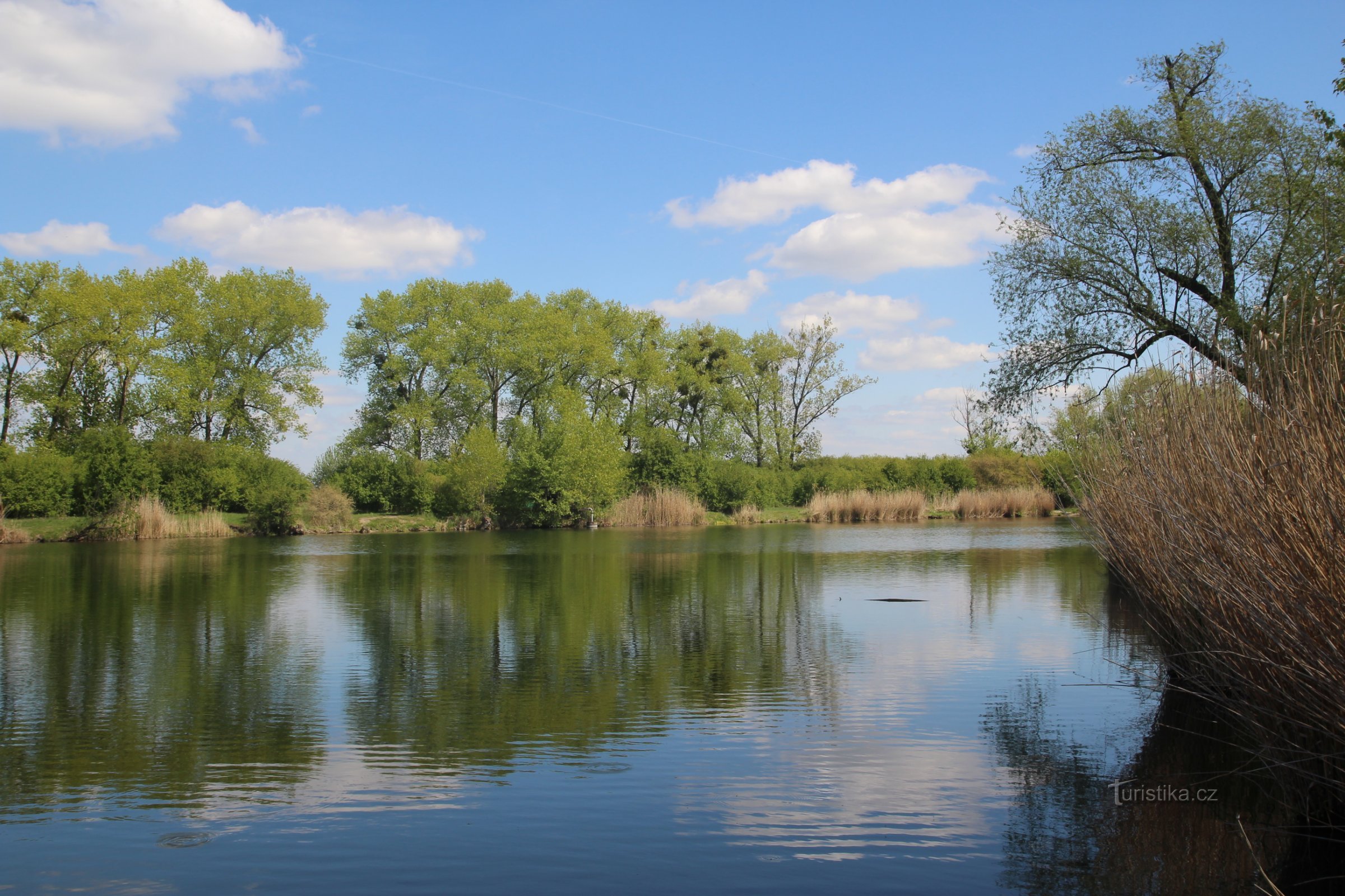 Květné jezero