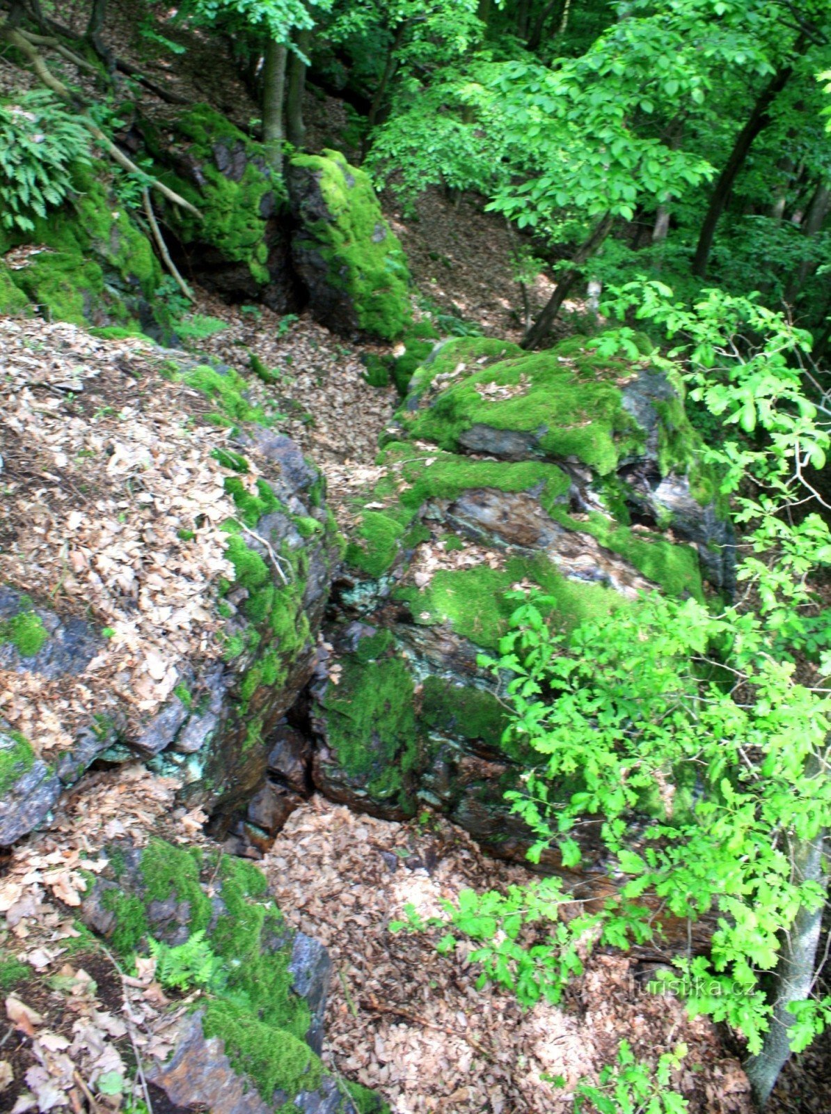 Pot de fleurs - tunnels de barytine