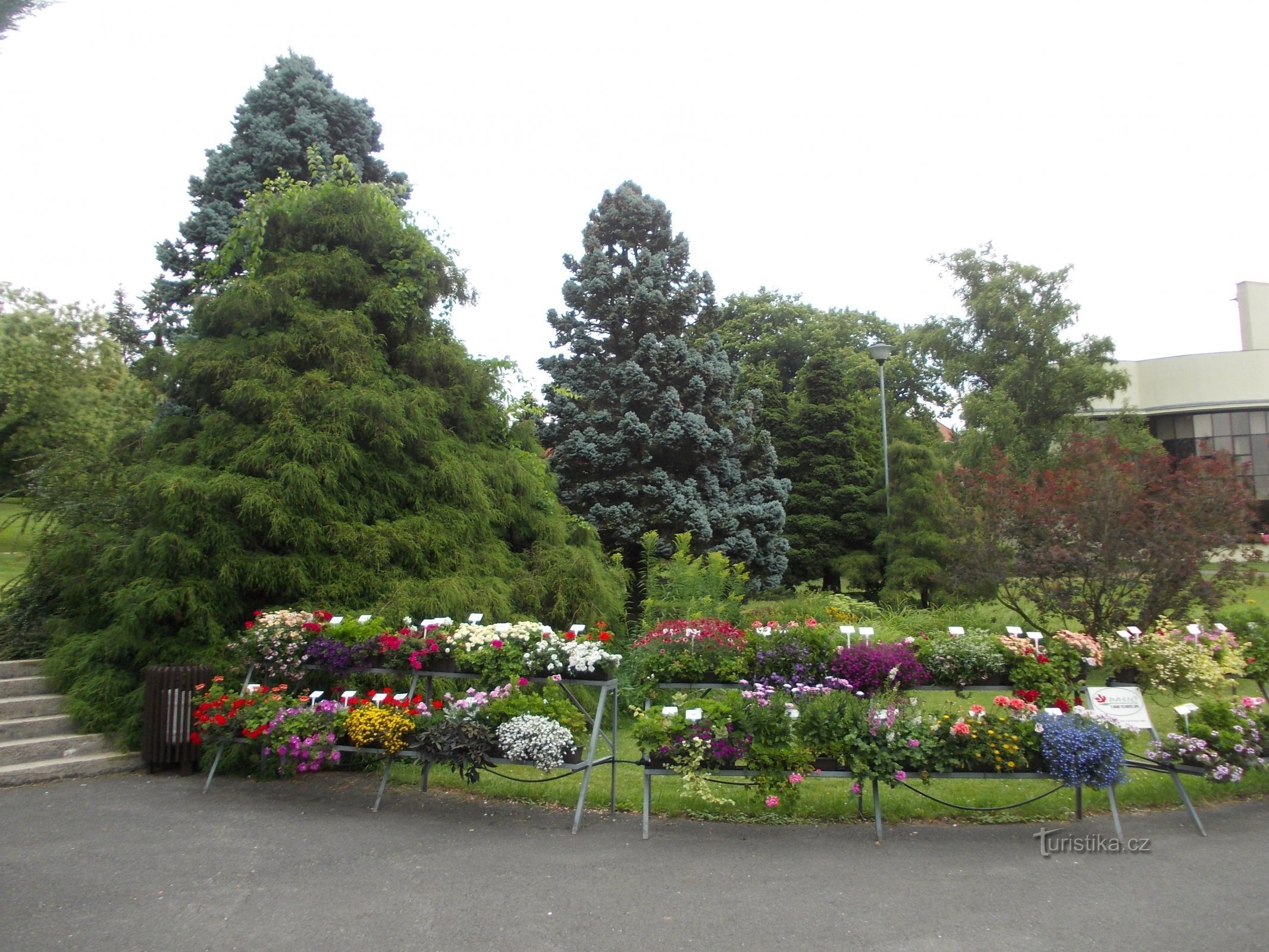 bloemen in dozen bij de ingang van het arboretum