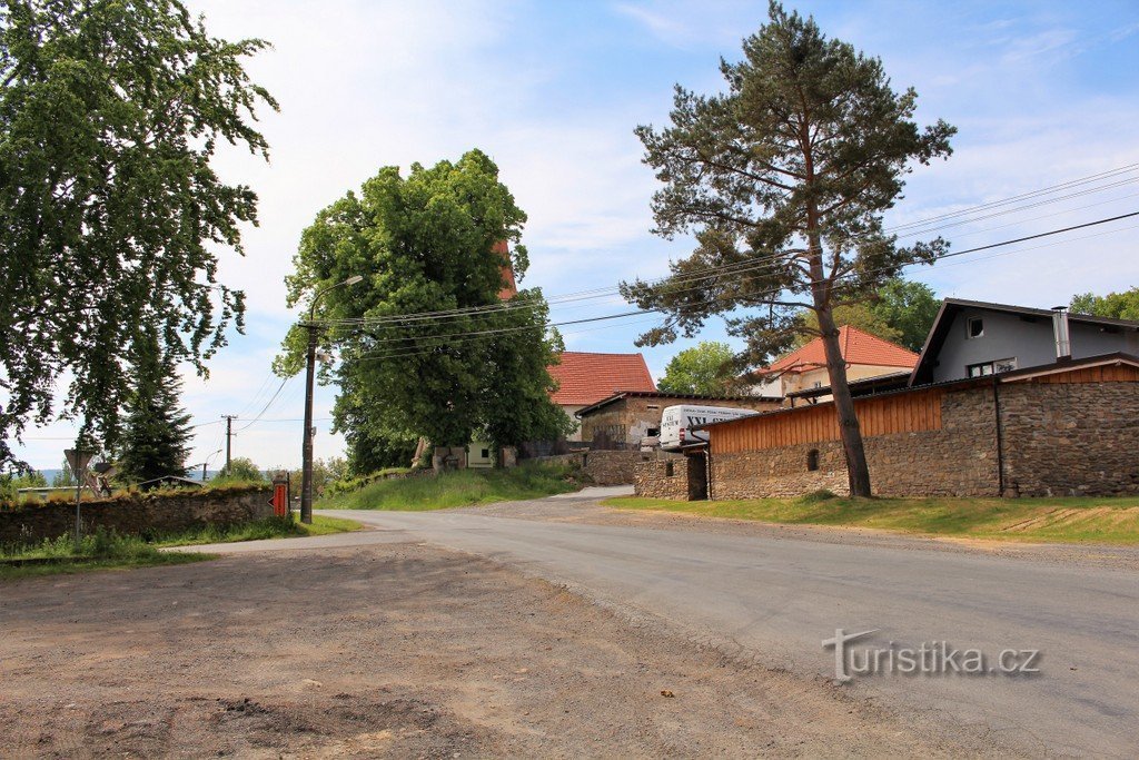 Kydliny, lípa a borovice