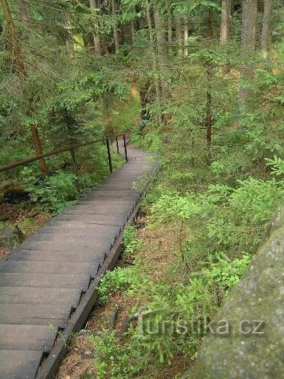 Kyjovské údolí: one of the many steps in the valley