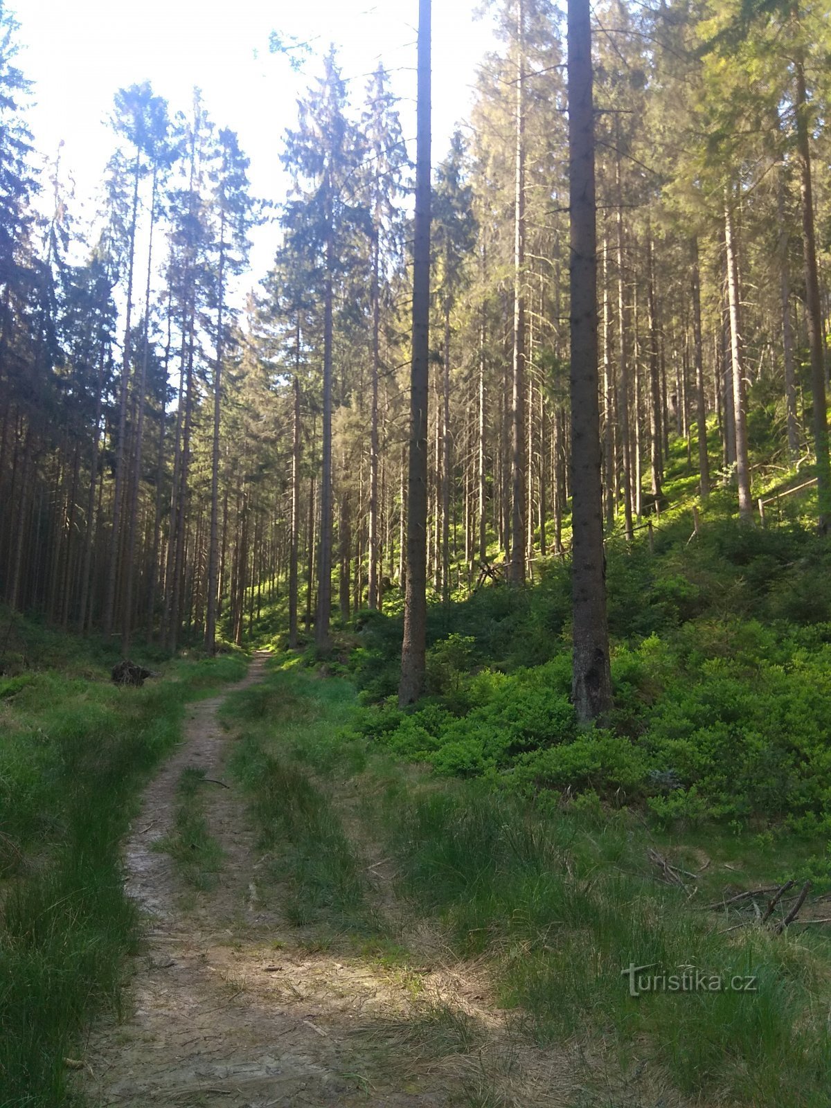 Kyjovské údolí - Vápenka - Krasná Lípa