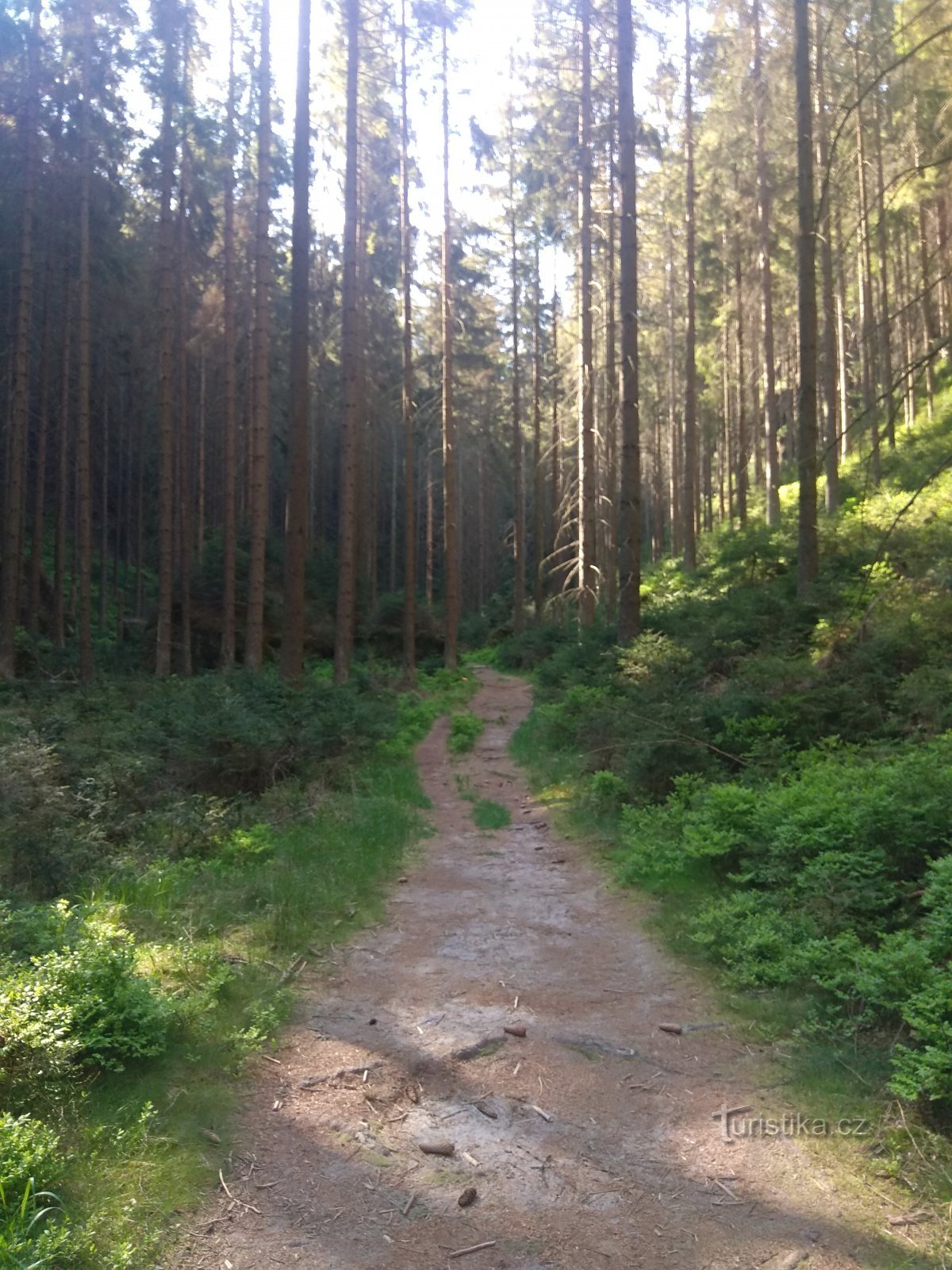 Kyjovské údolí - Vápenka - Krasná Lípa