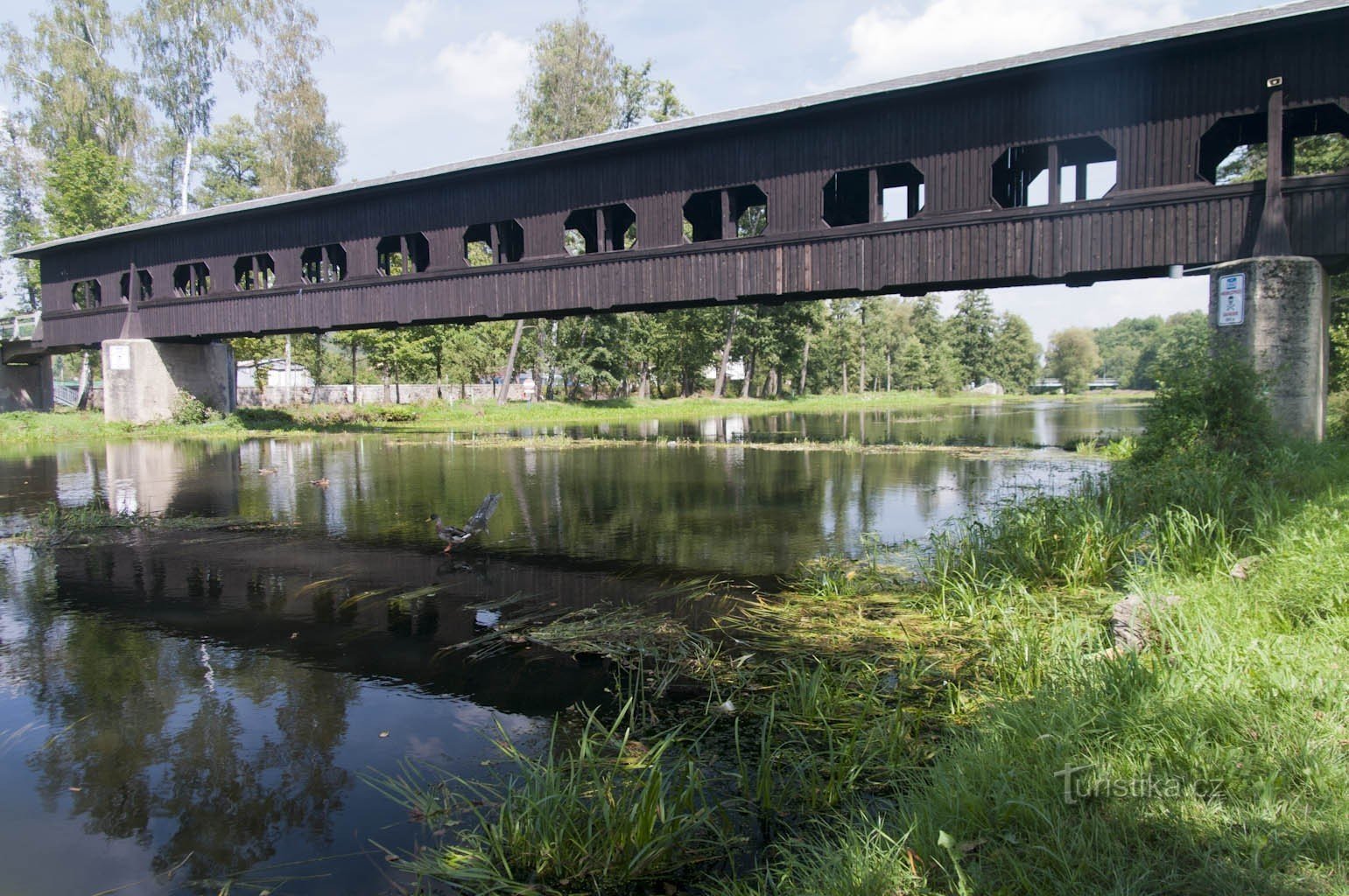 Kynšperk nad Ohří - 覆われた木製の歩道橋