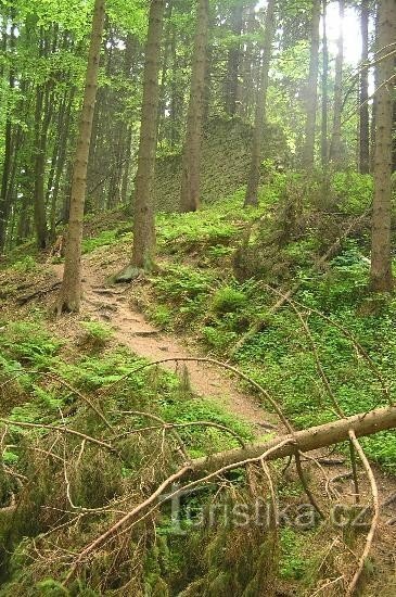 キンジュヴァルト - 城: 城へのアクセス道路