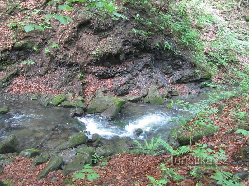 Oxygen baths