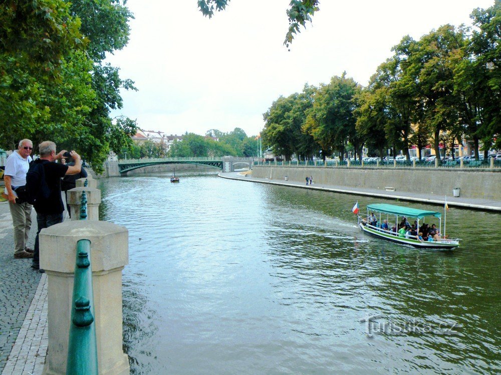 Elba río abajo