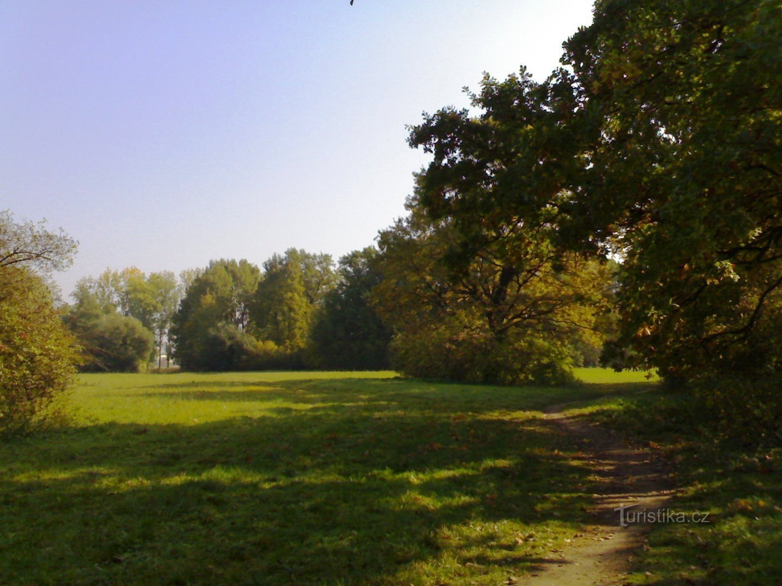 Elbe - cánh tay mù