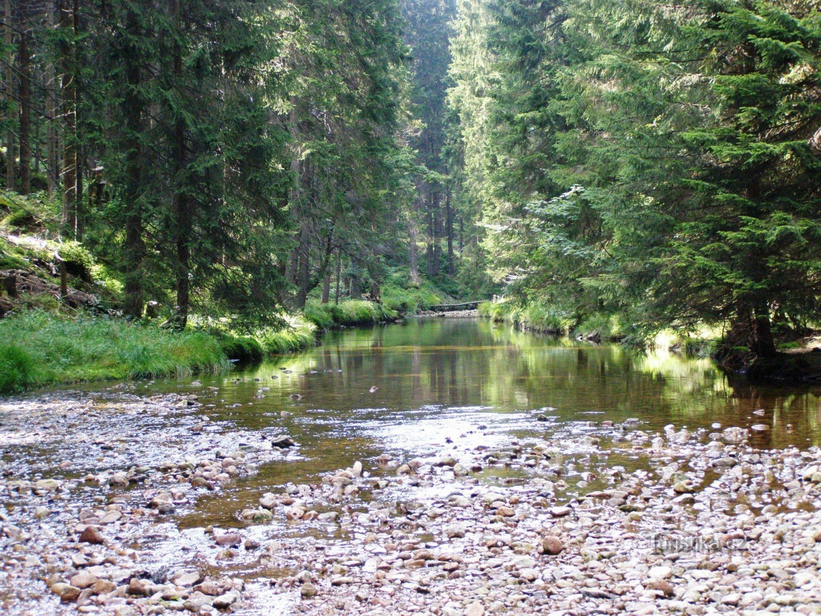 Elbe - Vid det gamla sågverket