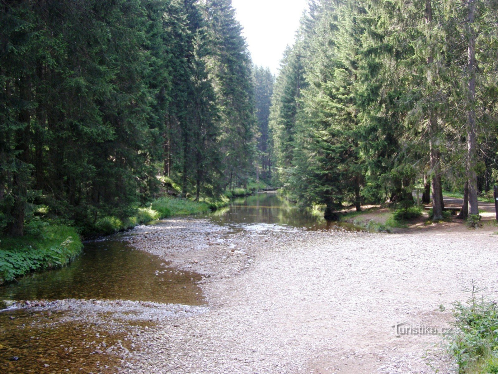 Elbe – A régi fűrésztelepen