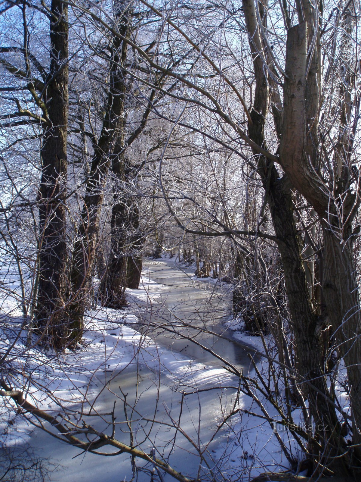 De rivier de Elbe tussen Plácky en Plotišti nad Labem