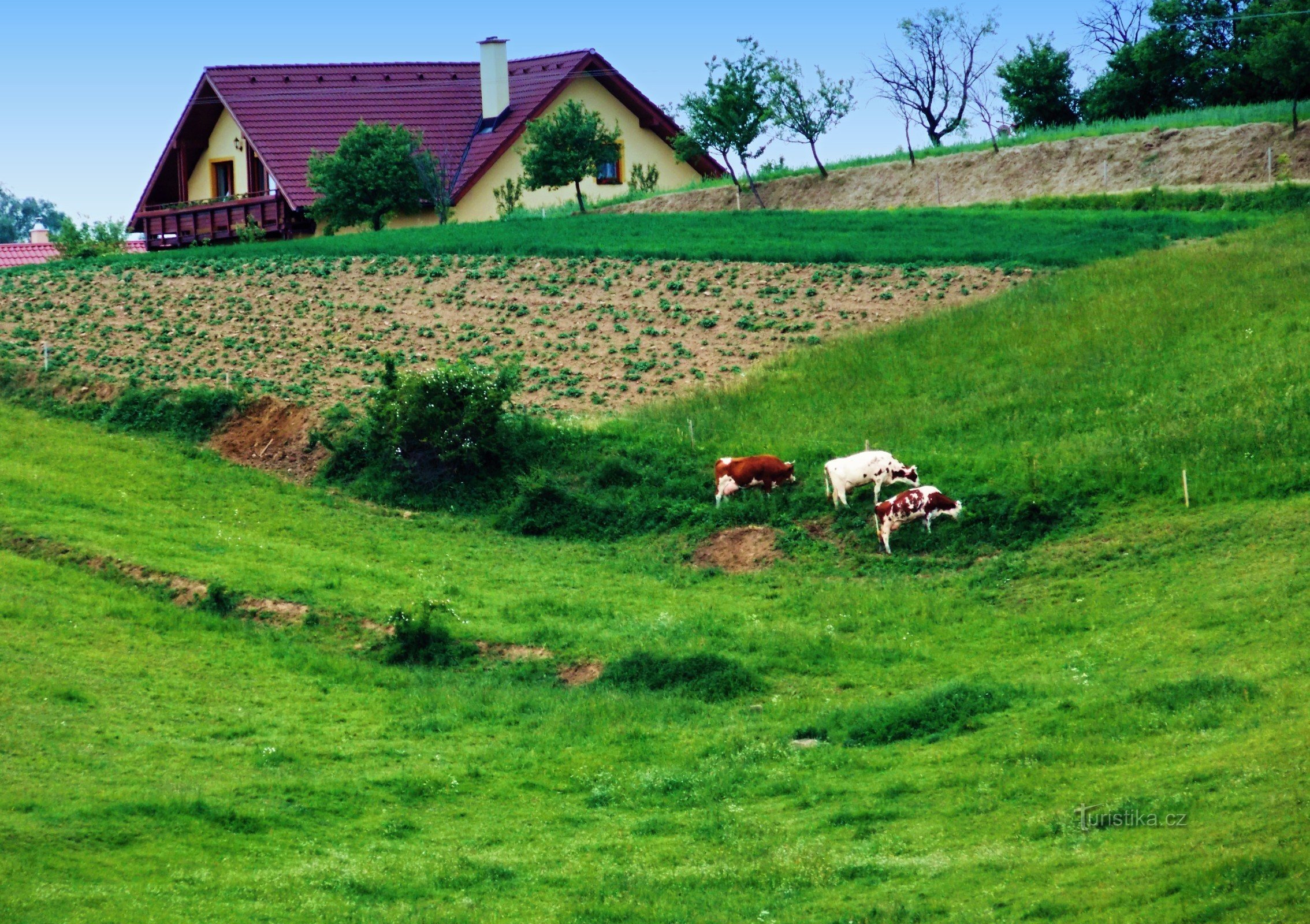 Lačnov e suas lagoas