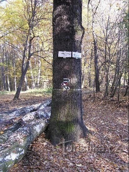 Landek (przy rurociągu): Landek (przy rurociągu)