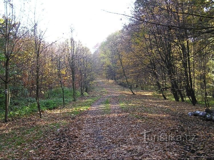 Landek (U-putki): Landek (U-putki) - suunta Landek U hradiska