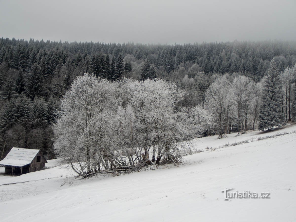 Žičara do Prarseka