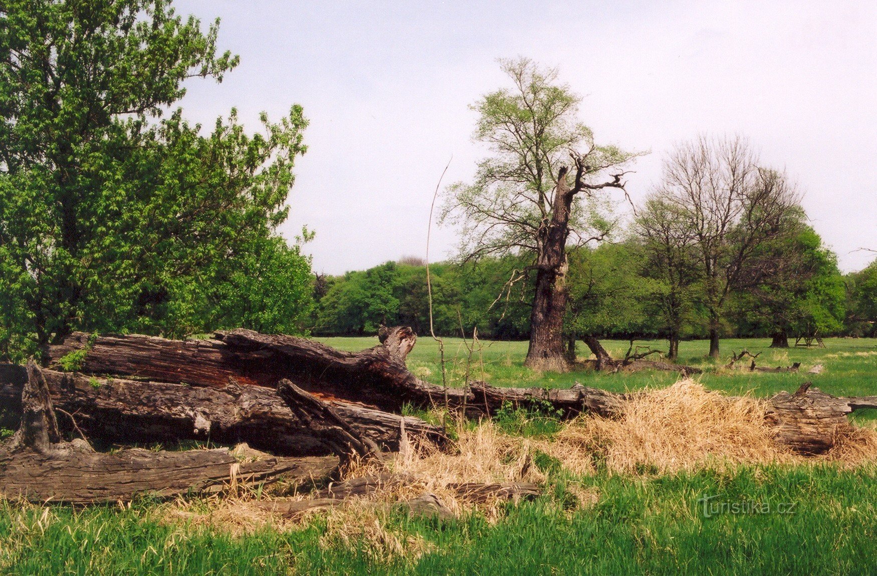 Lánské meadows