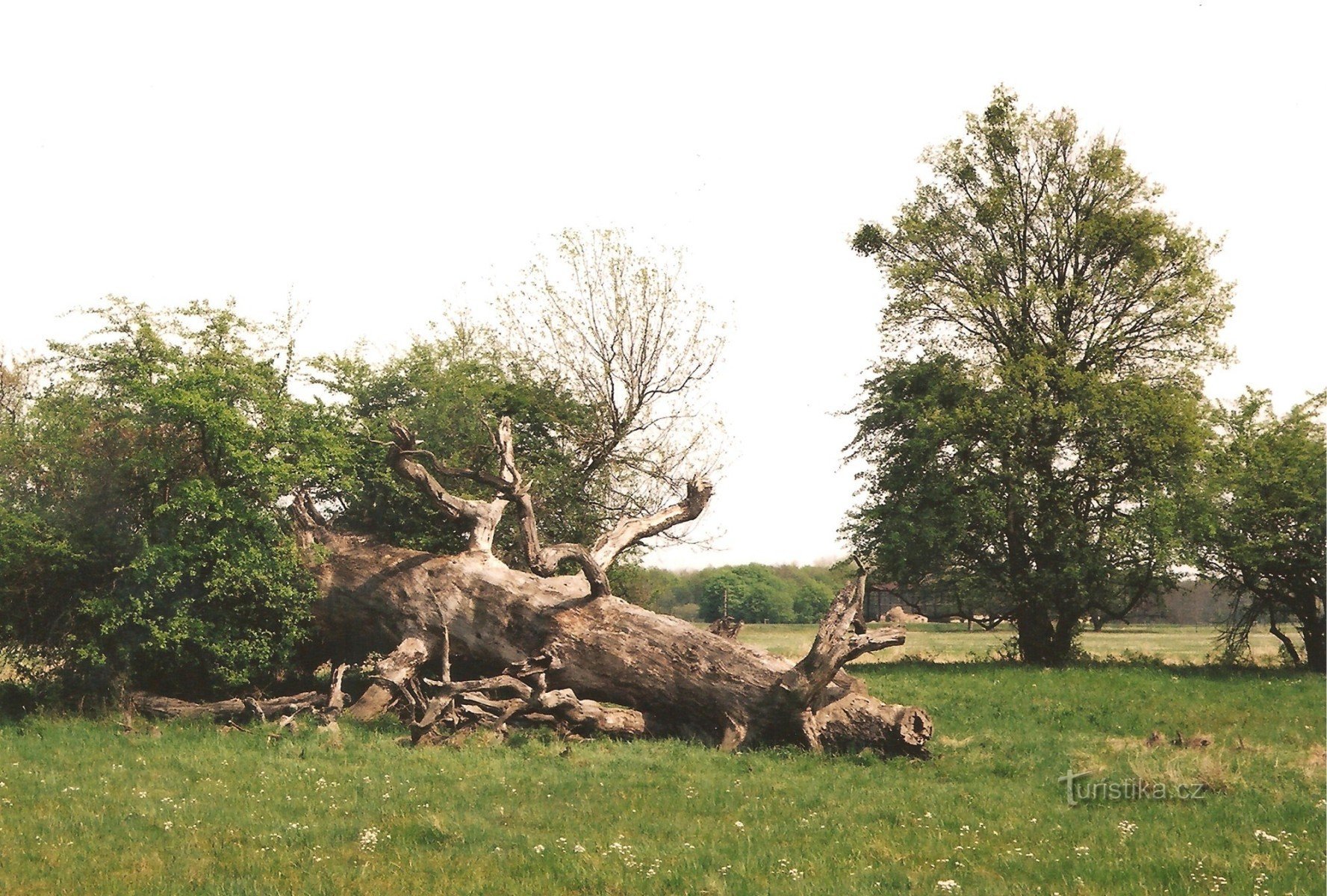 Lánské meadows