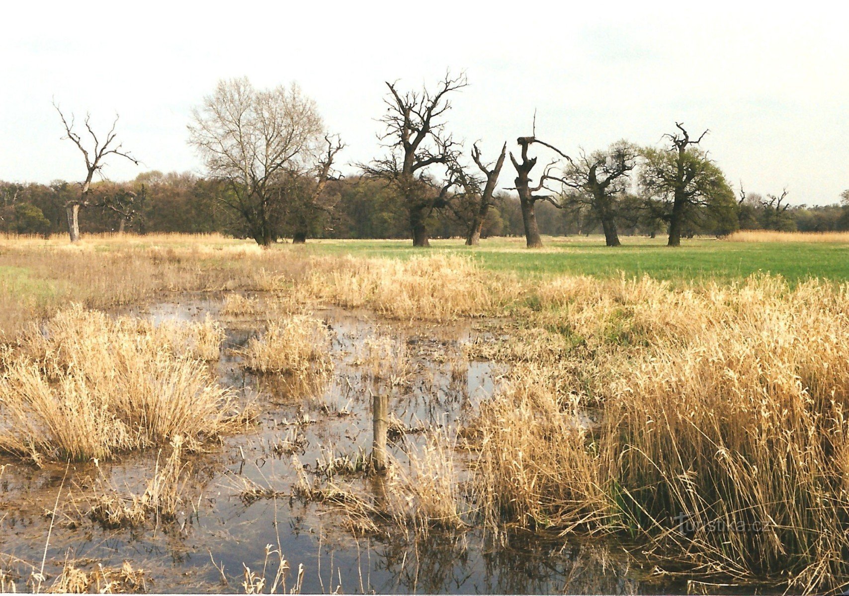 Lánské weiden