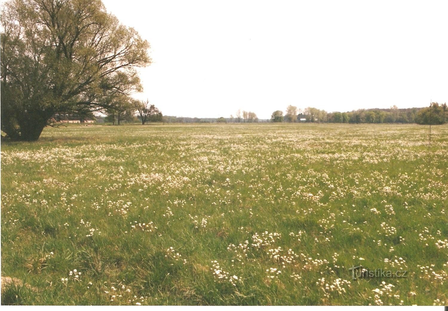 Lansk weiden in het voorjaar