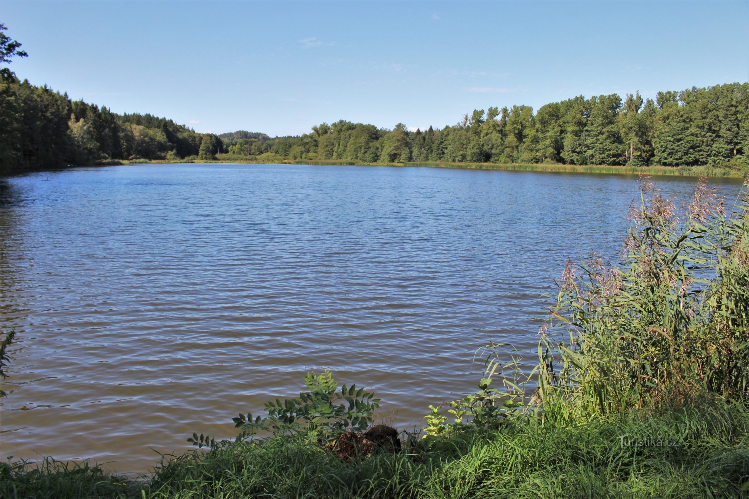 Lanškroun damme - naturreservat