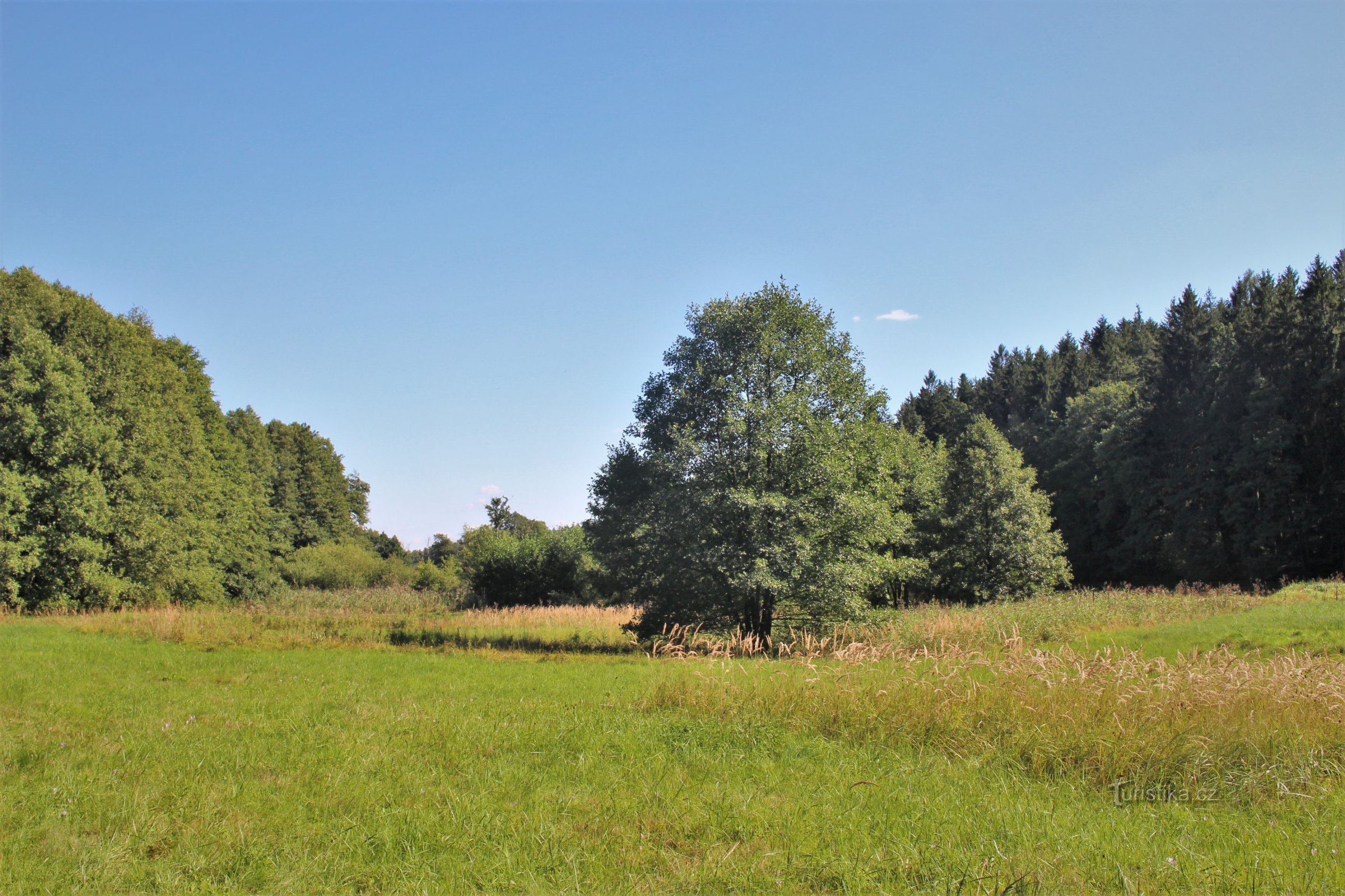 Lanškroun-vijvers - natuurreservaat