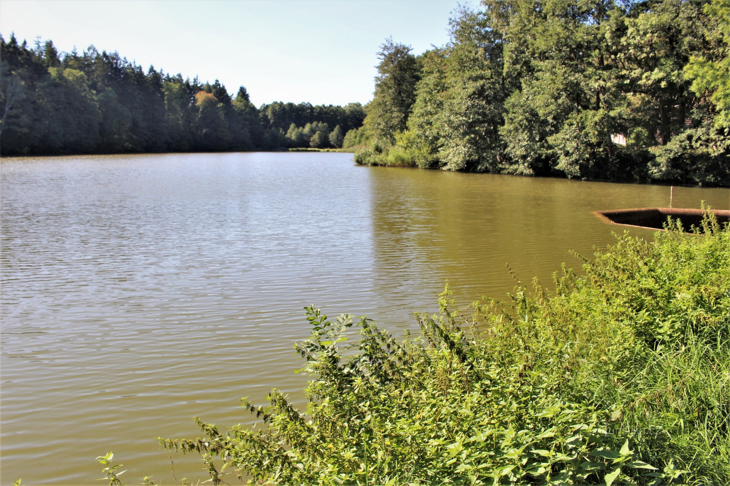 Lanškroun ponds - nature reserve