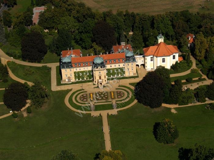 Lány