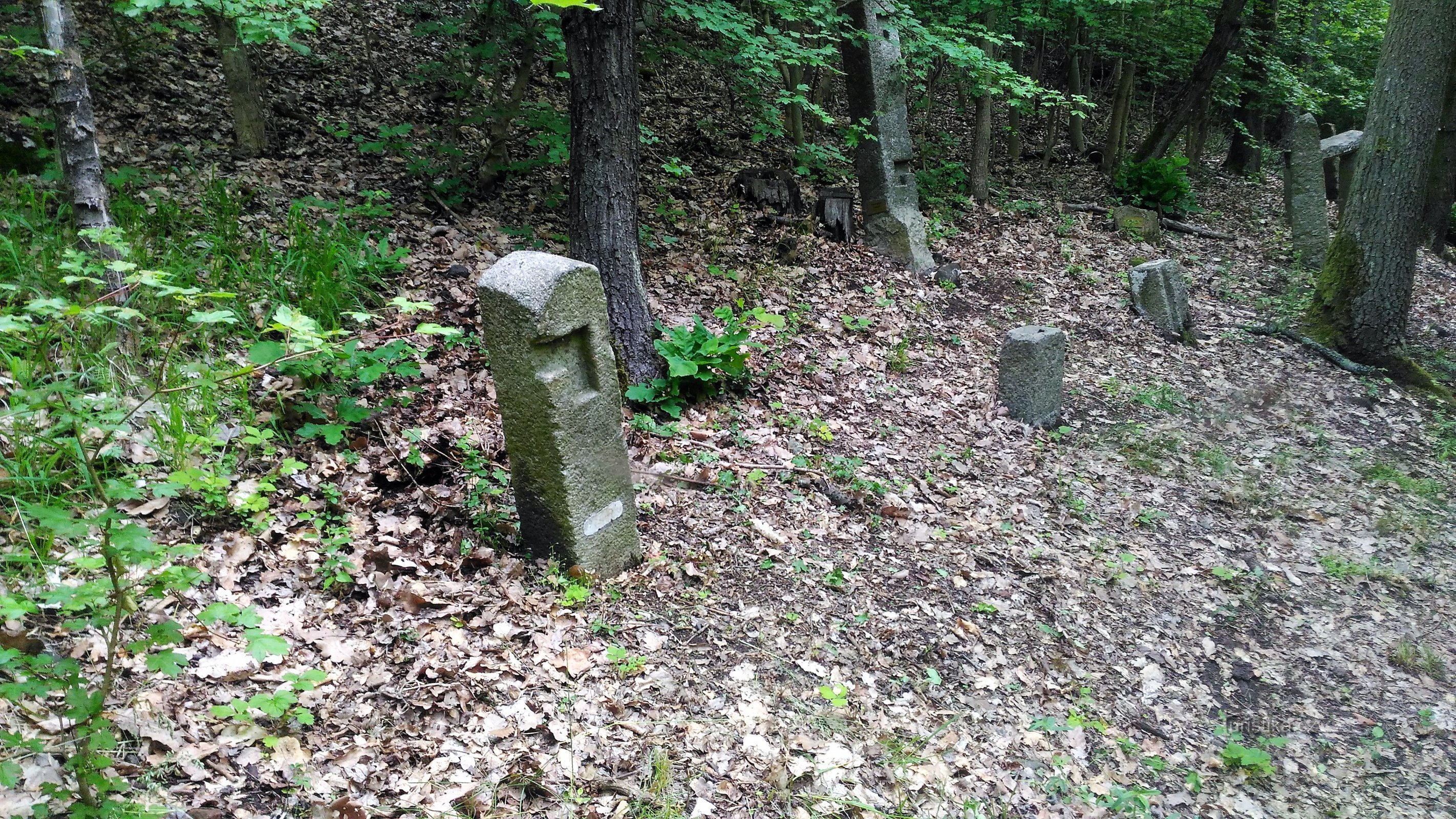 Lapidary af hedengangne ​​landsbyer på Vintířovský vrch.
