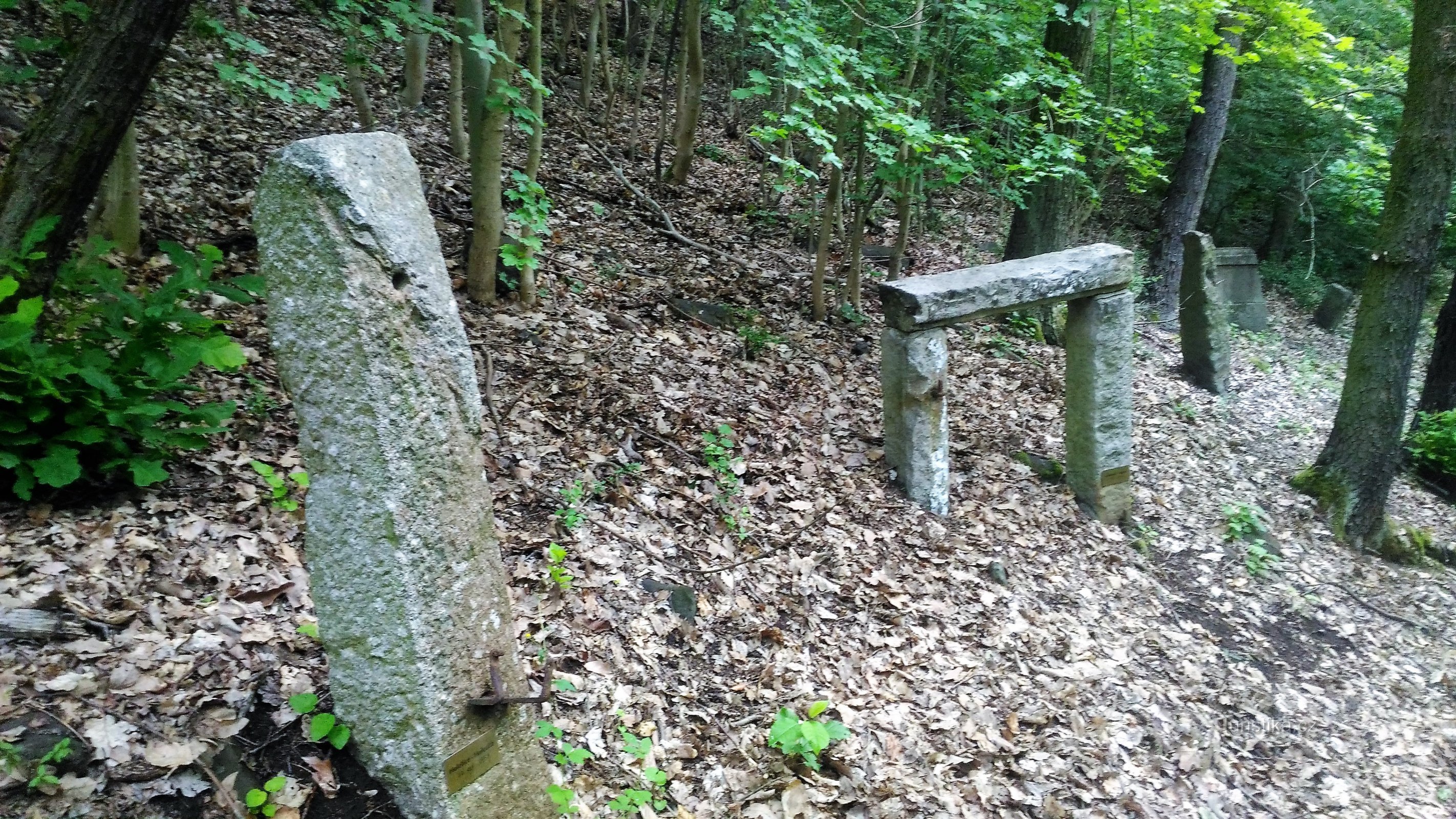 Lapidary av nedlagda byar på Vintířovský vrch.