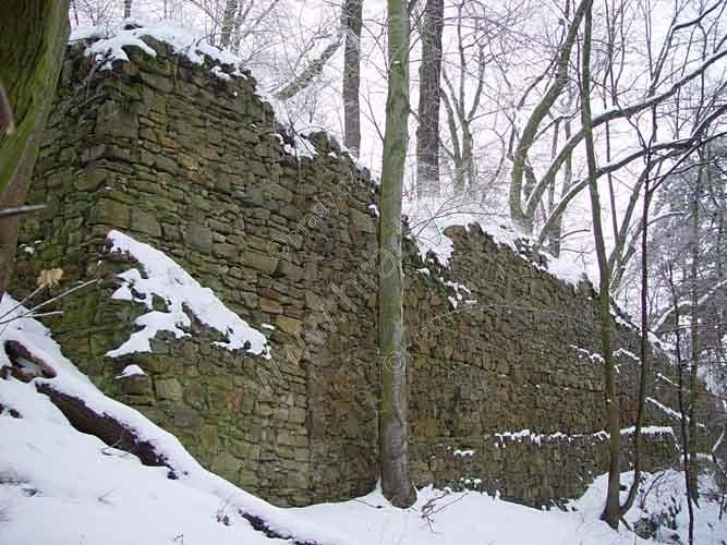 Lapikus