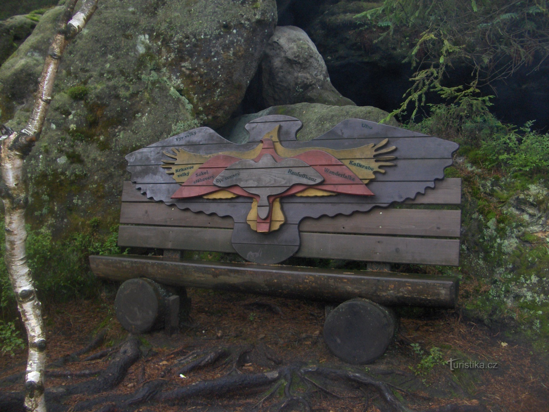 bench at the viewpoint