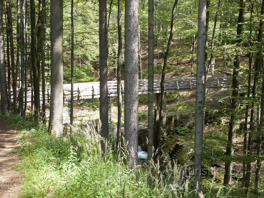 Footbridge on the Wild Stream