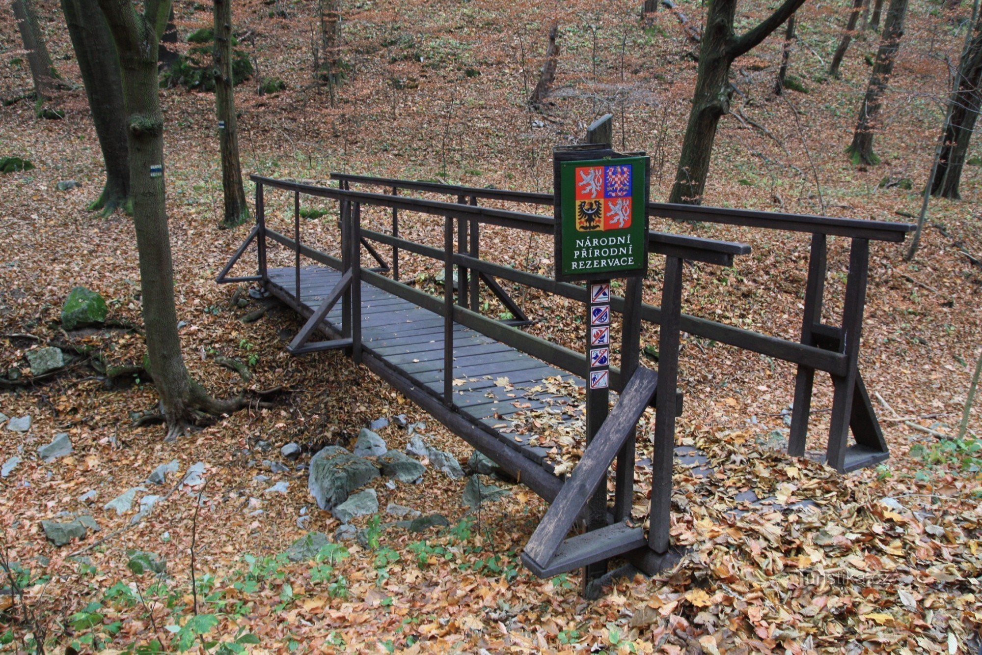 Pasarela al comienzo del sendero para caminar