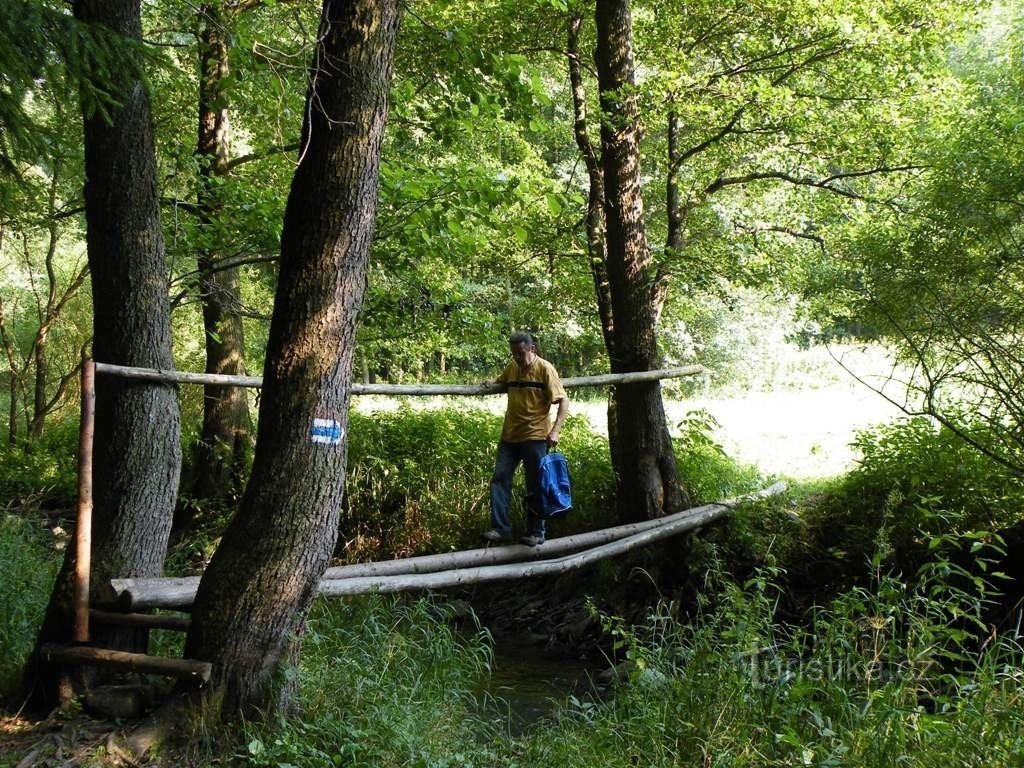 Fußgängerbrücke über Brtnice pod Střížov