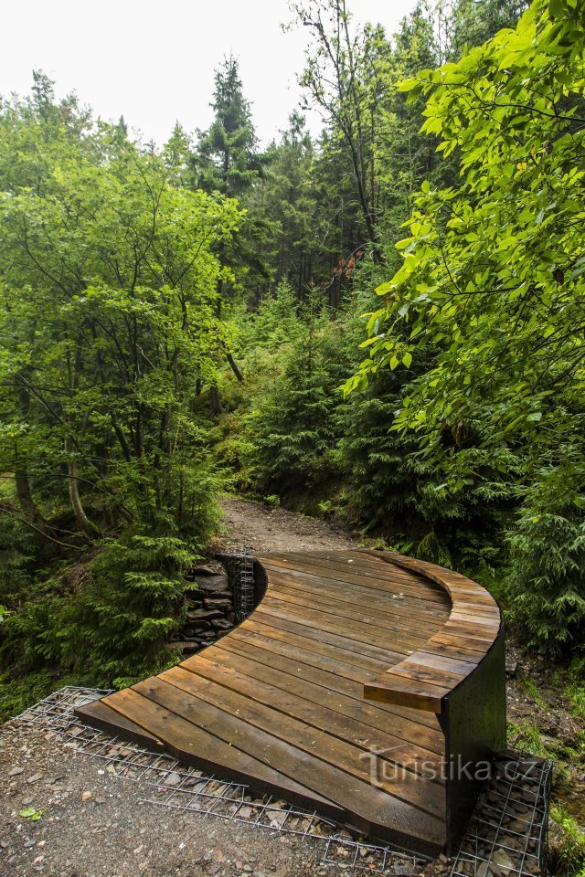 passerelle sur le ruisseau noir