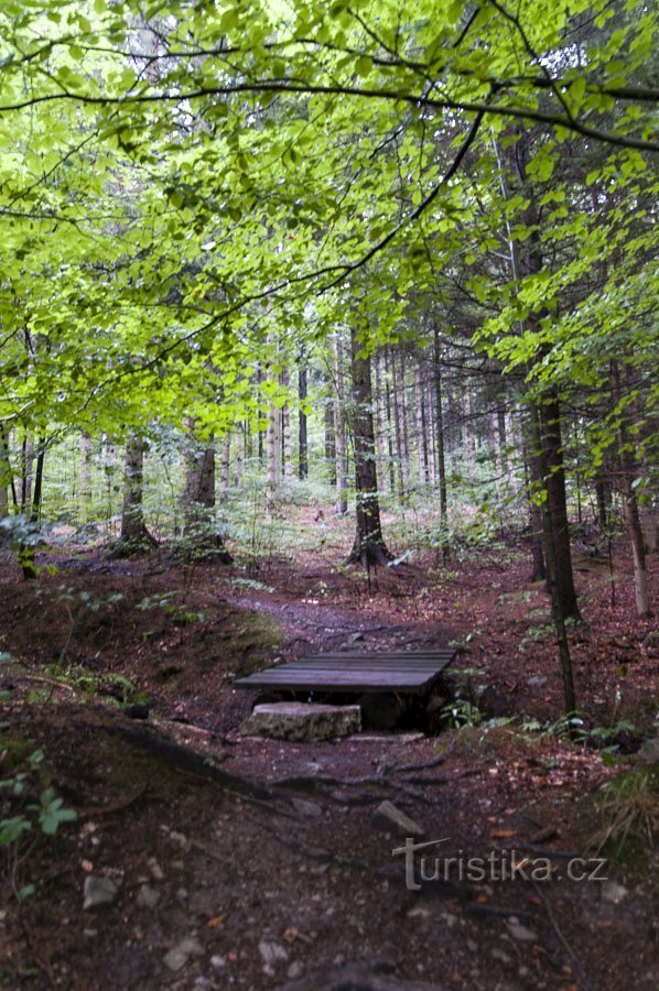 Kładka nad potokiem