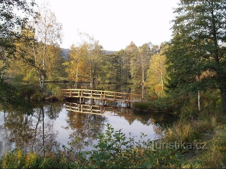 Passerelle au-dessus de l'étang