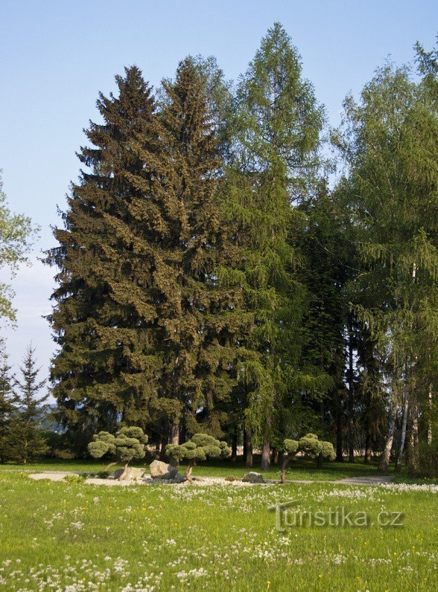 Prizorišče dogodka bo Zdraviliški park