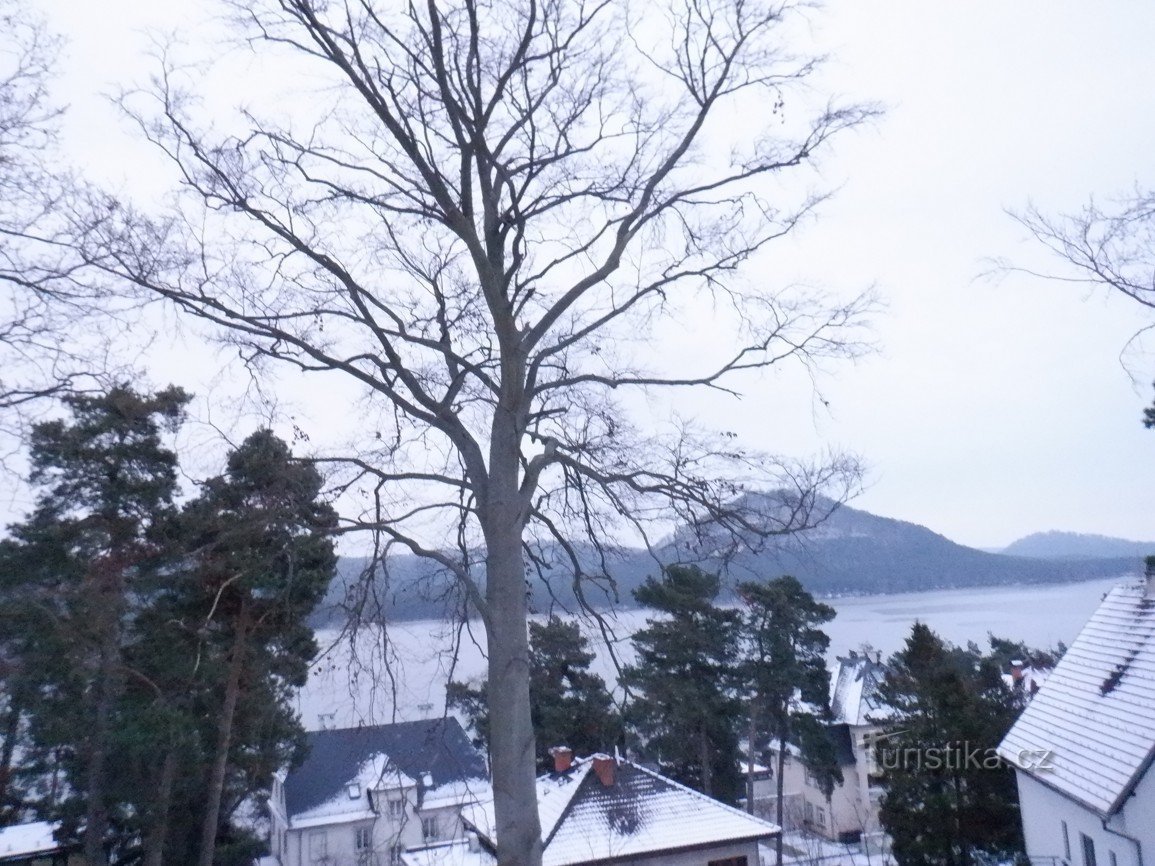 Lázeňský vrch (312 mslm) vicino al lago Mách