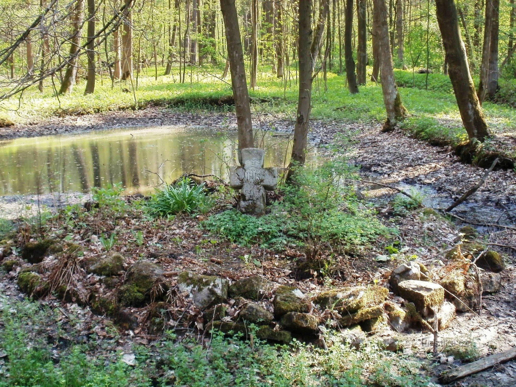 Lázně Bělohrad - Bažantnice - Hraběnčino jezírko