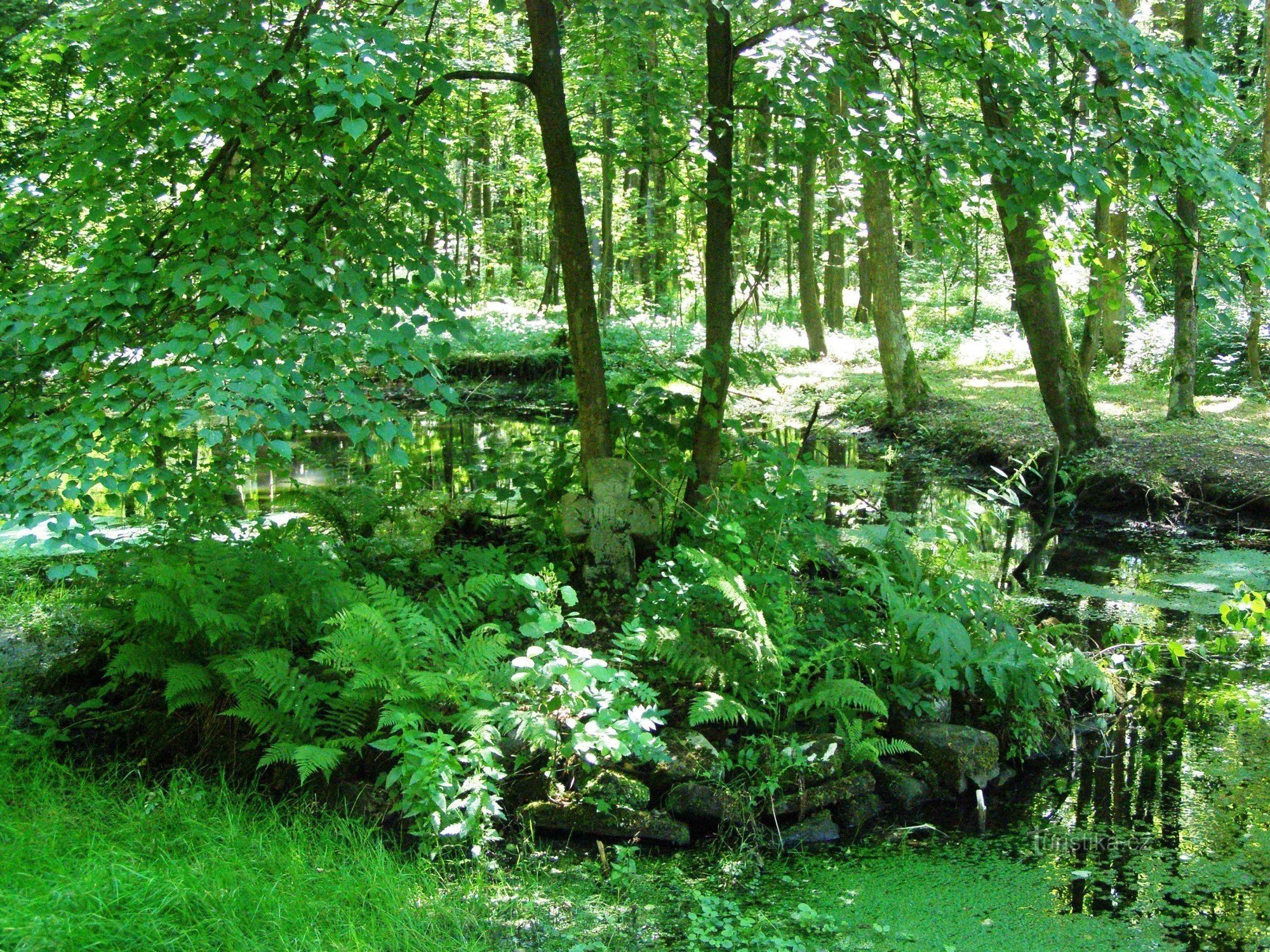 Toplice Bělohrad - Bažantnice - Hraběčino jezero