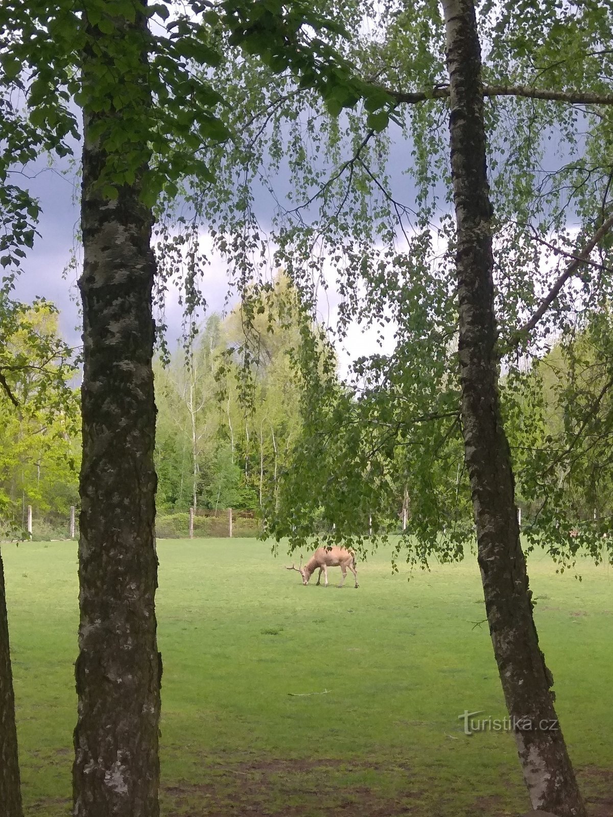 Toplice Bohdaneč - NS Pernštejnské rybníky