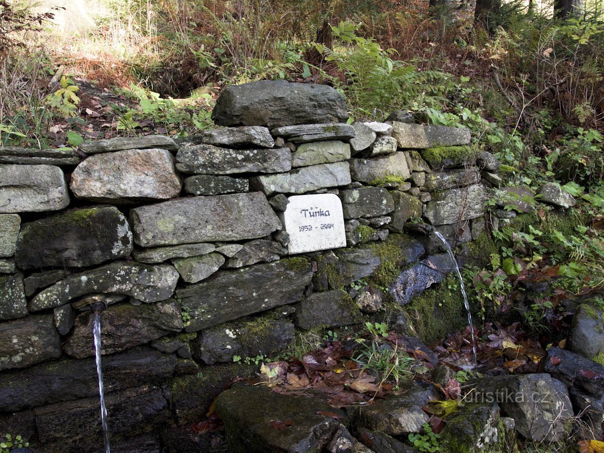 Spa Jeseník – Spring Tůňka, Ferro Quelle