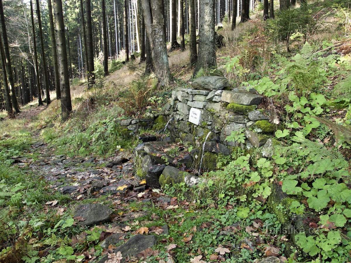 Balneario Jeseník – Manantial Tůňka, Ferro Quelle