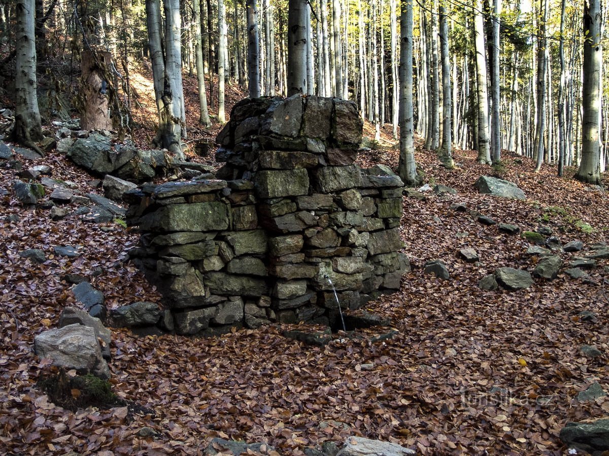 Spa Jeseník - Source Sourozenecký