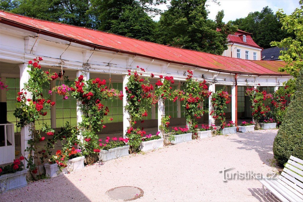 Terme Libverda, colonnato