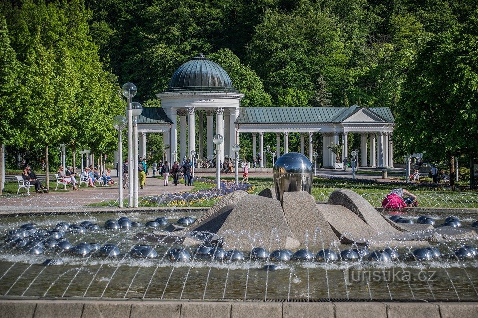 Terme, fonte: arbo