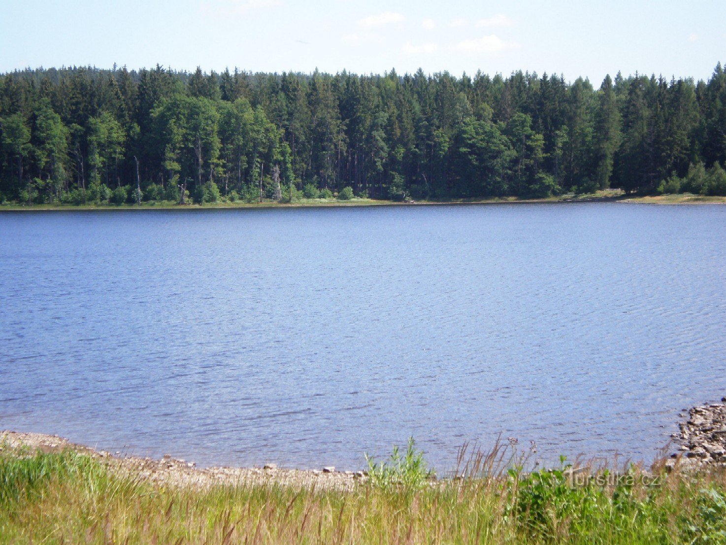 Ljubezen tank